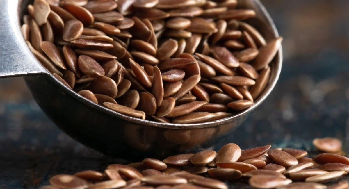 Hamilelikte Keten Tohumu Tüketimi: Güvenli mi?